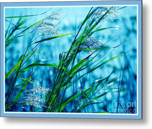 Blue Metal Print featuring the photograph On a Blue Afternoon by Susanne Van Hulst
