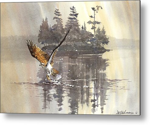 Canada Metal Print featuring the painting Osprey Hunting No.2 by David Gilmore