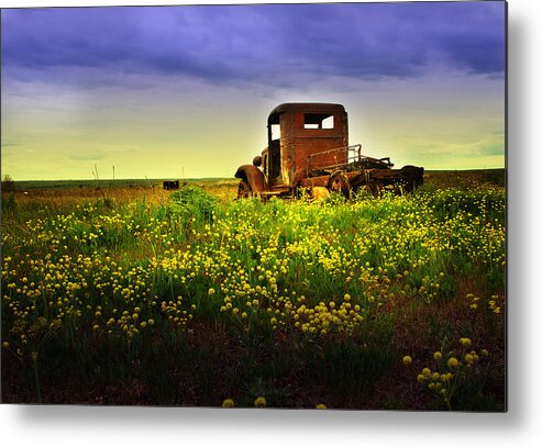 Wildflowers Metal Print featuring the photograph Out to Pasture by Sonya Lang