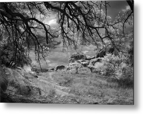 Infrared Metal Print featuring the photograph Overhanging Branches by Michael McGowan