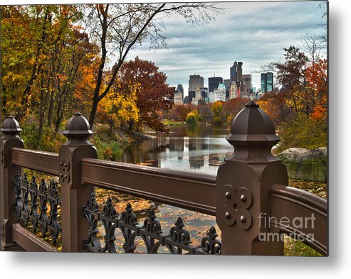 New York City Metal Print featuring the photograph Overlooking The Lake Central Park New York City by Sabine Jacobs