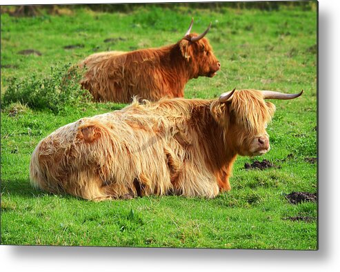Highlander Metal Print featuring the photograph Overseers by Jon Exley