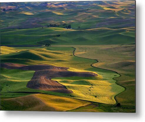 Palouse Metal Print featuring the photograph Palouse Shadows by Michael Dawson