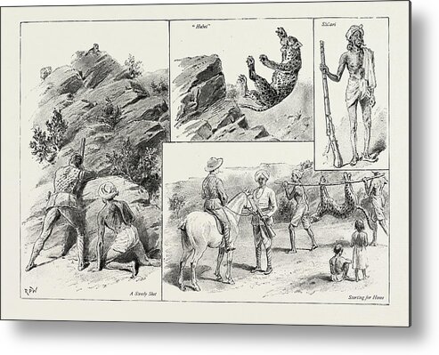 Panther Metal Print featuring the drawing Panther Shooting In India by Litz Collection