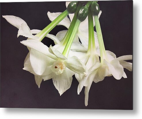 Floral Metal Print featuring the photograph Paper White by Deborah Smith