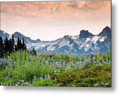 Alpine Metal Print featuring the photograph Paradise Meadows and the Tatoosh Range by Jeff Goulden