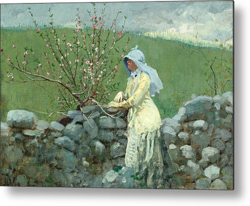 Winslow Homer Metal Print featuring the painting Peach Blossoms by Winslow Homer