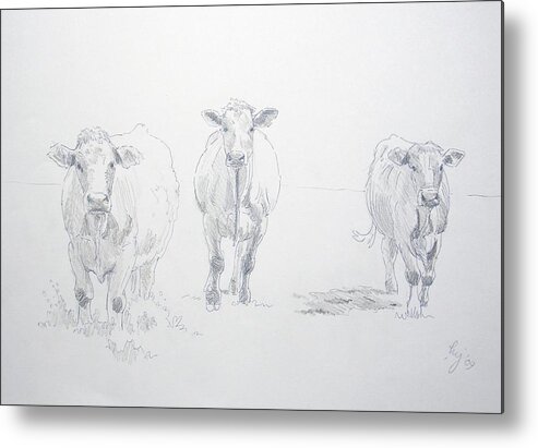 Cows Metal Print featuring the drawing Pencil drawing of three cows by Mike Jory