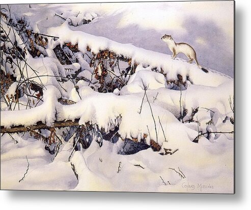 Snow Metal Print featuring the painting Period of Transition by Conrad Mieschke