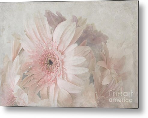 Pink Metal Print featuring the photograph Pink gerberas by Cindy Garber Iverson