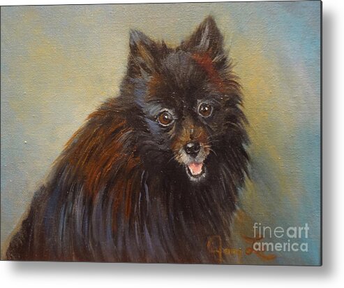 Dog Print Metal Print featuring the painting Pomeranian by Jenny Lee