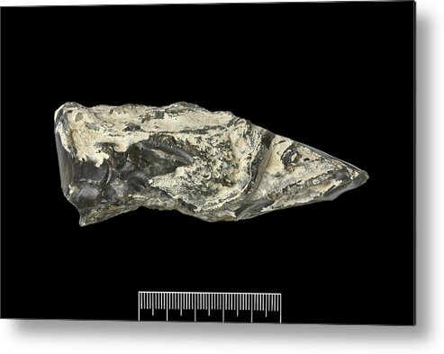 Specimen Metal Print featuring the photograph Prehistoric Flint Hand-axe by Natural History Museum, London/science Photo Library