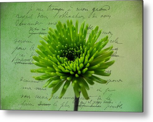 Green Metal Print featuring the photograph Pure Green 2 by Linda Segerson