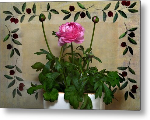 Ranunculus Metal Print featuring the photograph Ranunculus Still Life. by Terence Davis