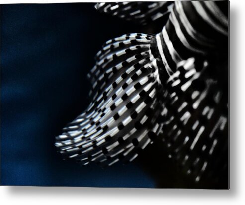 Red Lionfish Metal Print featuring the photograph Red Lionfish Fins by Marianna Mills