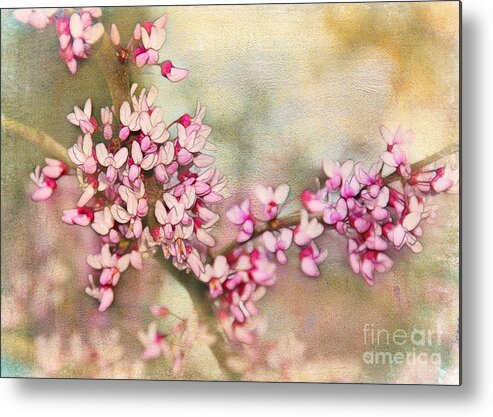 Flowers Metal Print featuring the photograph Welcome Spring by Judi Bagwell