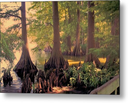 Lake Metal Print featuring the photograph Reelfoot Lake at Sunset by Bonnie Willis