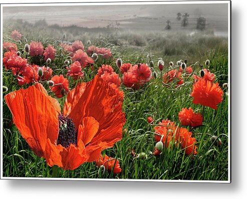Tranquility Metal Print featuring the photograph Remembrance by Jayar Digital Art