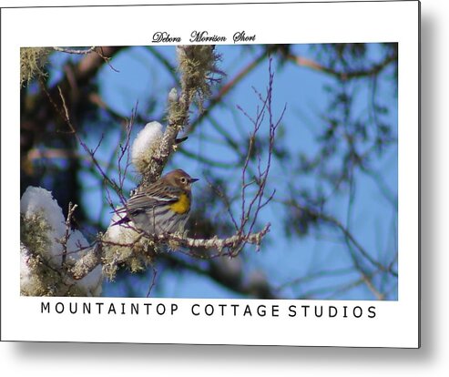 Birds Metal Print featuring the photograph Rest Time by Debora Morrison Short