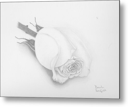 Nature Metal Print featuring the drawing Rose by Brenda Bonfield