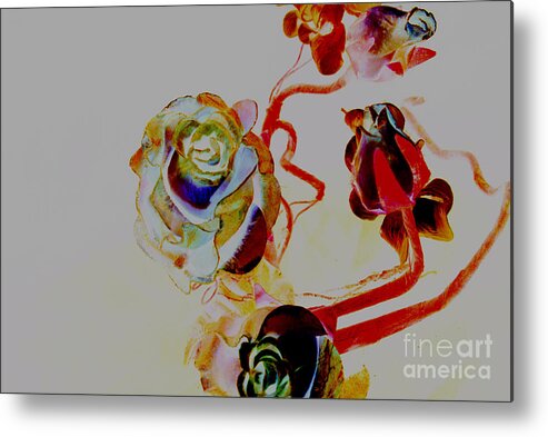 Rose Metal Print featuring the photograph Roses Artwork by Loni Collins