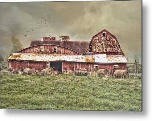 Rural Landscape. . Farm Metal Print featuring the photograph Rural Harvest by Mary Timman