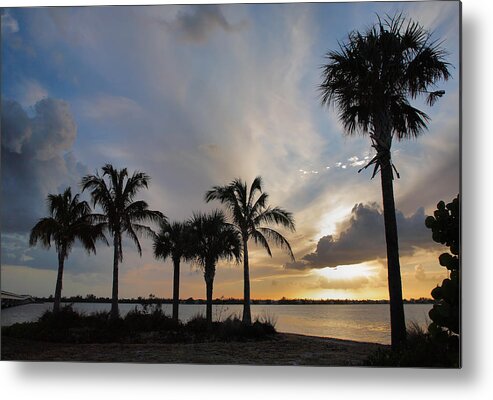 Palm Trees Metal Print featuring the photograph San Carlos Bay Sunset II by Steven Ainsworth