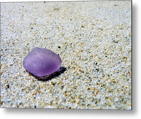 Janice Drew Metal Print featuring the photograph Sea glass in amethyst by Janice Drew