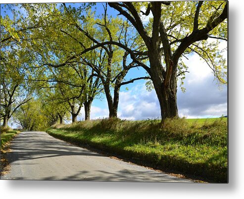 Lane Metal Print featuring the photograph Shady Lane by Corinne Rhode