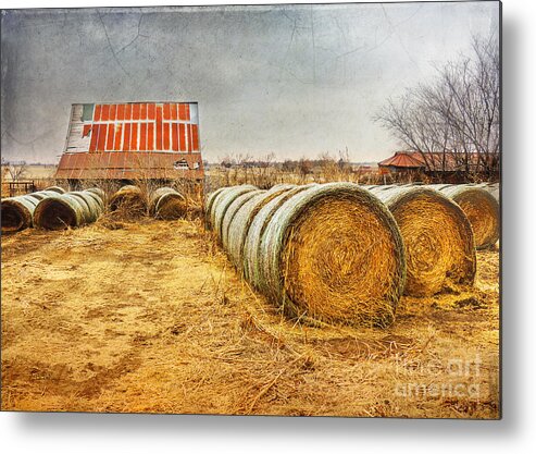 Barn Metal Print featuring the photograph Slumbering in the Countryside by Betty LaRue