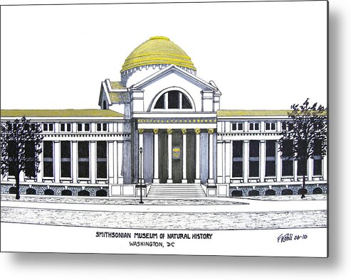 Ink Drawings Metal Print featuring the drawing Smithsonian Museum of Natural History by Frederic Kohli