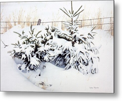 Hare Metal Print featuring the painting Snow-bound Snowshoe Hare by Conrad Mieschke