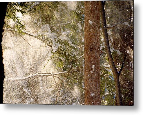 Snowfall Metal Print featuring the photograph Snowfall by Tracy Winter