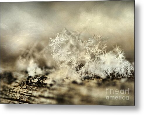 Painterly Metal Print featuring the photograph Snowflakes by Darren Fisher