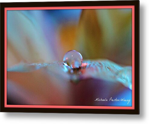 Nature Metal Print featuring the photograph Soft Beauty by Michaela Preston