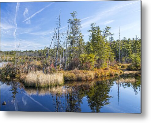 Pinelands Metal Print featuring the photograph Speedwell pond by Charles Aitken