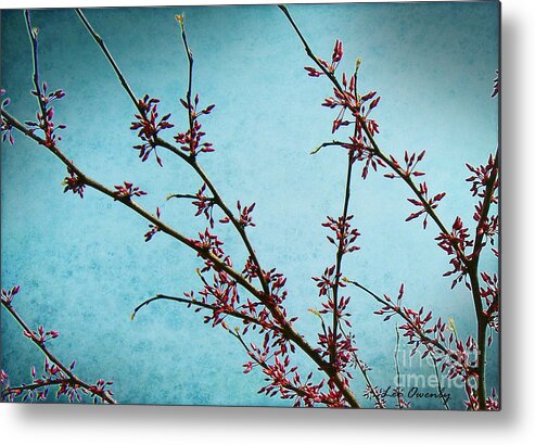 Spring Metal Print featuring the photograph Spring Buds by Lee Owenby