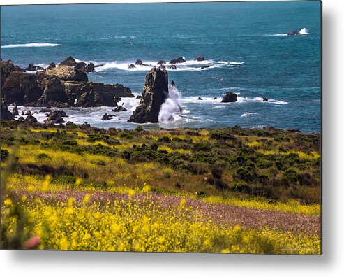 Art Metal Print featuring the photograph Spring on the California Coast By Denise Dube by Denise Dube