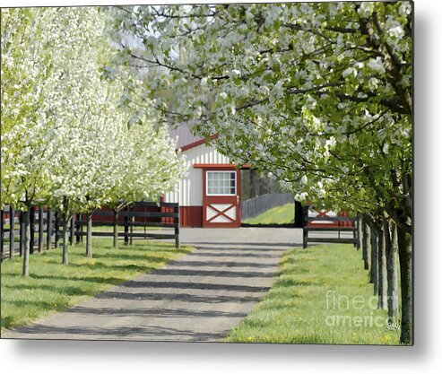 Landscape Metal Print featuring the photograph Spring time at the farm by Sami Martin