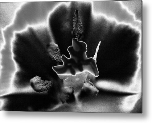 Flowers Metal Print featuring the photograph Stamen and Pestle  by Robert Culver