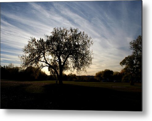 Tree Metal Print featuring the photograph Standing Alone Against the Evening Sky by Greni Graph