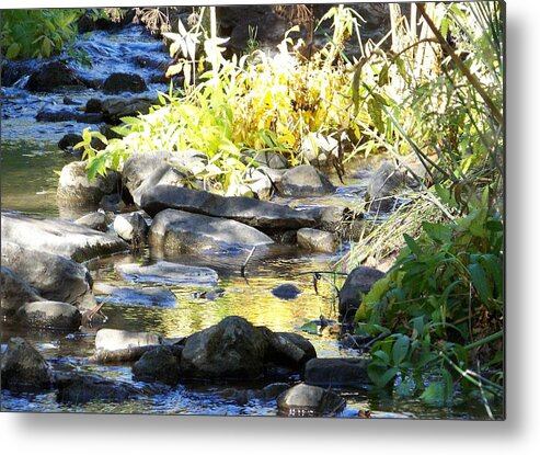 Stream Metal Print featuring the photograph Stepping Stones by Sheri Keith