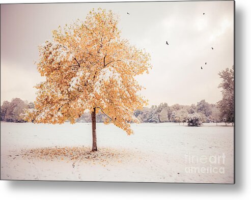 Autumn Metal Print featuring the photograph Still Dressed In Fall by Hannes Cmarits