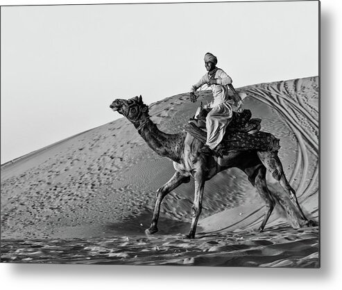 Camel Metal Print featuring the photograph Such Fun by Susan Moss