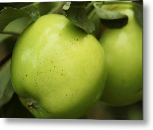 Apple Metal Print featuring the photograph Summer Apple by Kristy Jeppson