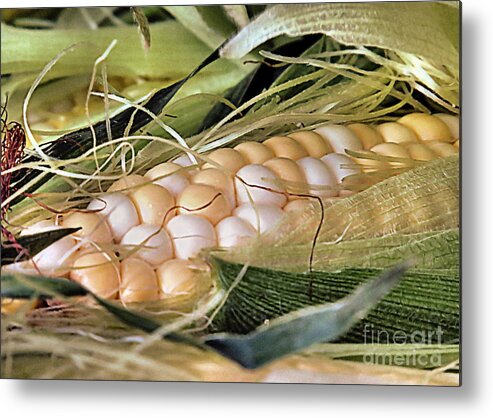 Summer's Bounty Metal Print featuring the photograph Summers Bounty by Janice Drew