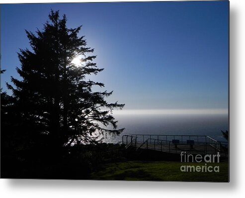 Sunset Metal Print featuring the photograph Sun Behind Tree by Gallery Of Hope 