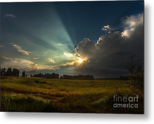 Landscape Metal Print featuring the photograph Sunbeam by Rose-Maries Pictures