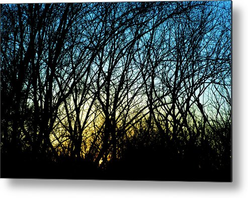 Photograph Metal Print featuring the photograph Sunset Behind Trees by Larah McElroy