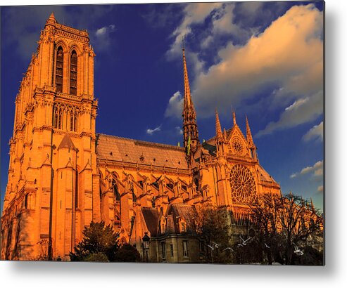Birds Metal Print featuring the digital art Sunset Notre Dame by Ray Shiu